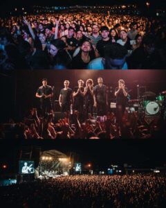Calamaro8